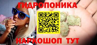 спиды Гуково