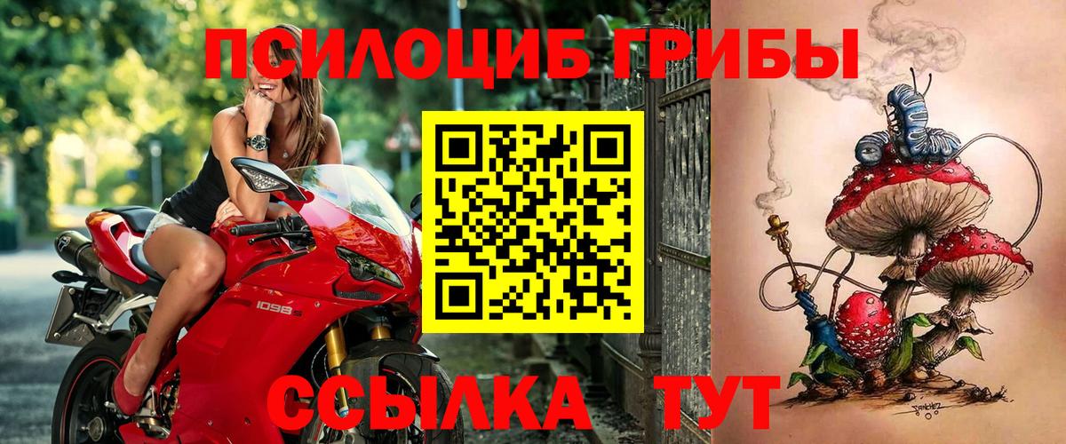 Галлюциногенные грибы GOLDEN TEACHER  Вход с VPN  Белебей 