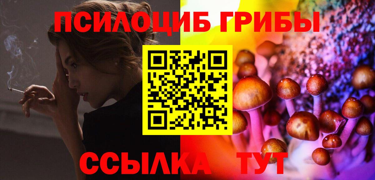 Галлюциногенные грибы Psilocybine cubensis Белебей